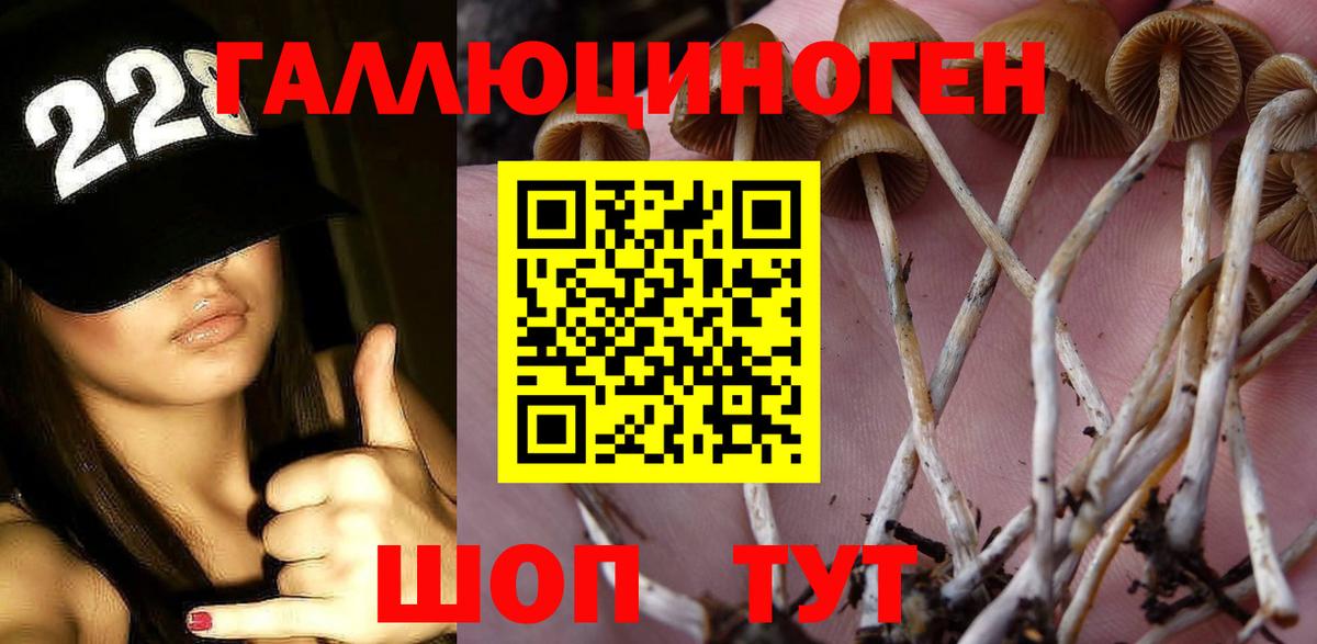 Малоярославец  Галлюциногенные грибы Psilocybe  Вход с VPN 